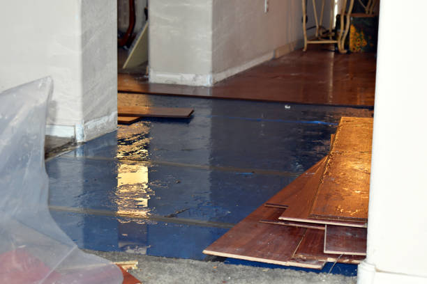 Professional Sewage Cleanup technician working in Stockholm, WI
